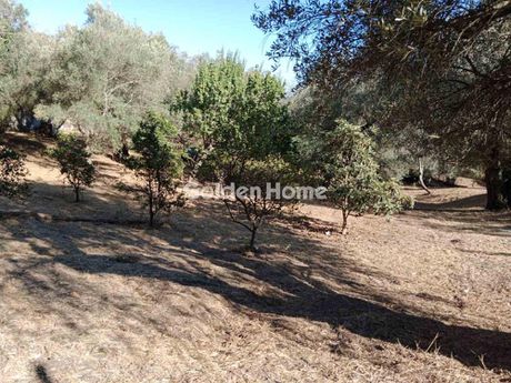 Οικόπεδο 2.380τ.μ. για πώληση-Κέρκυρα » Παλαιοκαστρίτσα