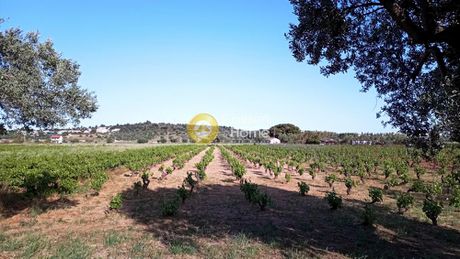 Αγροτεμάχια 2.500τ.μ. για πώληση-Σπάτα » Κέντρο