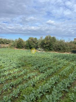 Αγροτεμάχια 779τ.μ. για πώληση-Γάζι » Παραλία φόδελε