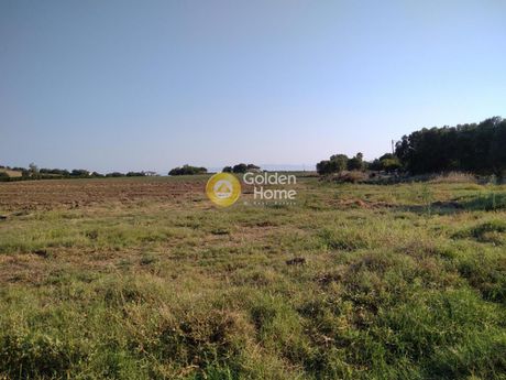 Αγροτεμάχια 6.000τ.μ. για πώληση-Λάρισσος » Λακκόπετρα