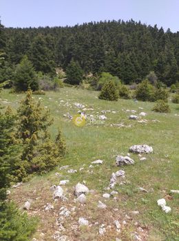 Αγροτεμάχια 8.013τ.μ. για πώληση-Αράχοβα » Αράχοβα