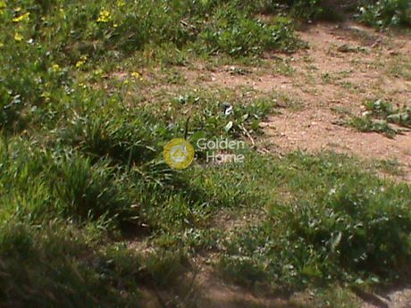 Οικόπεδο 500τ.μ. για πώληση-Πικέρμι » Διώνη