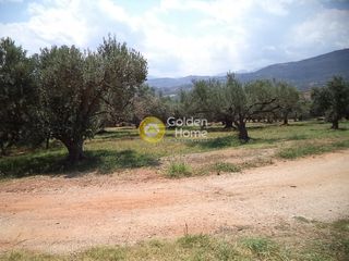 Οικόπεδο 2.980 τ.μ. για πώληση