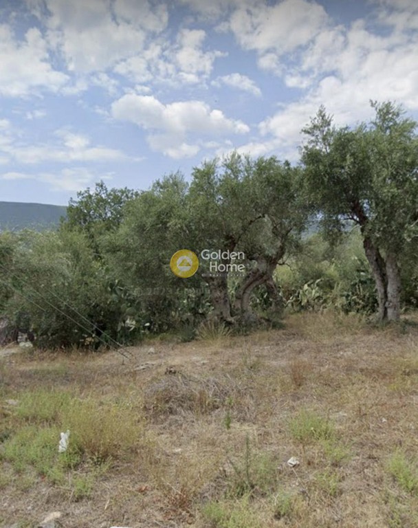 Οικόπεδο 707 τ.μ. για πώληση, Μεσσηνία, Δώριο