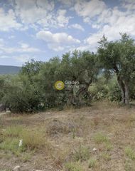 Οικόπεδο 707 τ.μ. για πώληση