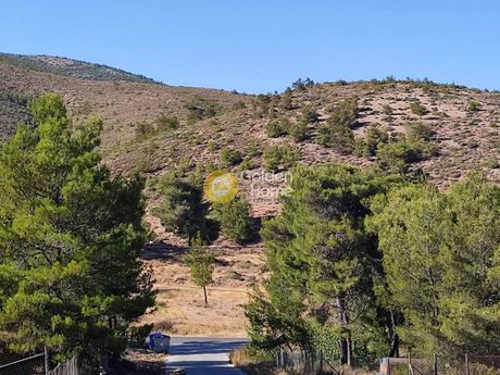 Οικόπεδο 493 τ.μ. για πώληση