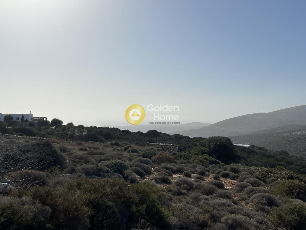 Αγροτεμάχια 11.000 τ.μ. προς πώληση, Κώστος