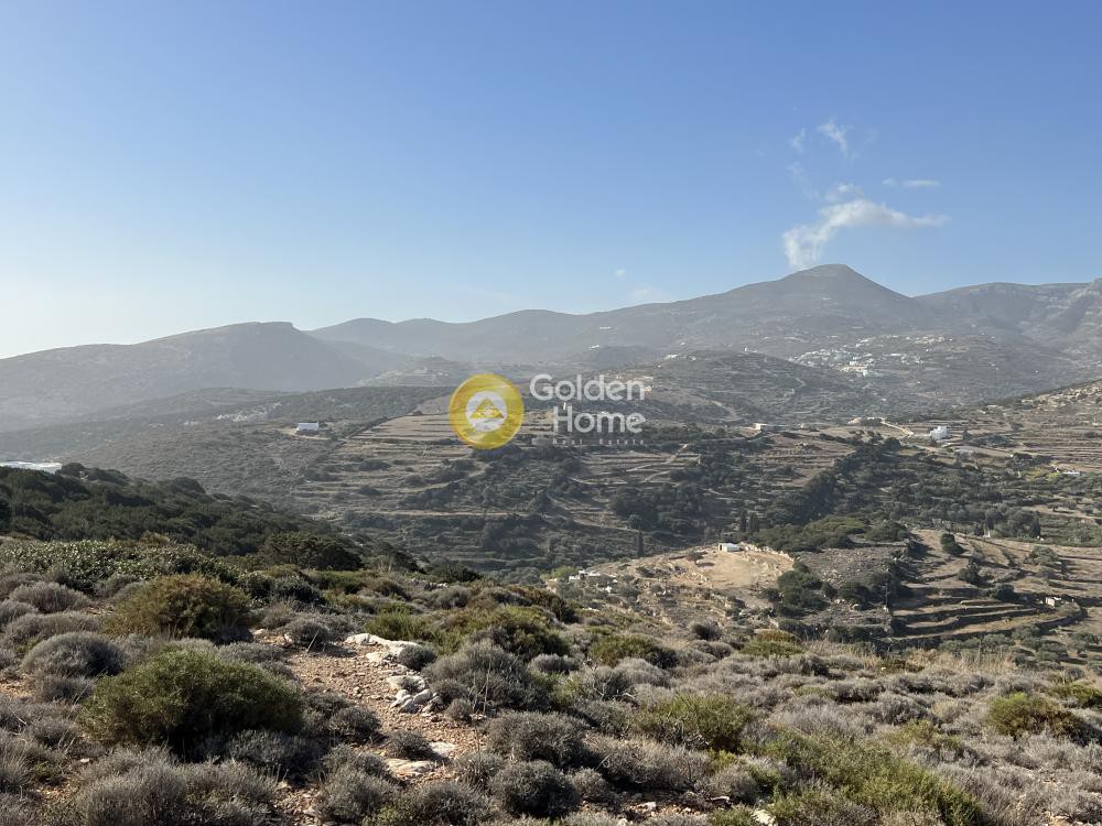 Αγροτεμάχια 11.000 τ.μ. προς πώληση, Κώστος