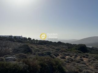 Αγροτεμάχια 11.000 τ.μ. για πώληση