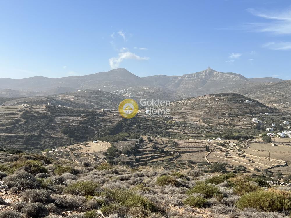 Αγροτεμάχια 11.000 τ.μ. προς πώληση, Κώστος