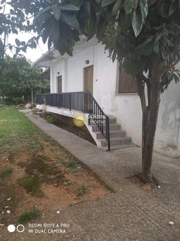 Οικόπεδο 330τ.μ. για πώληση-Νεάπολη » Νέος μπαμπαλιός