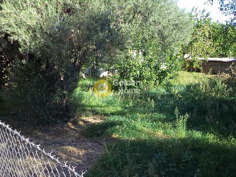 Οικόπεδο 465τ.μ. για πώληση-Αίγιο » Κουλούρα