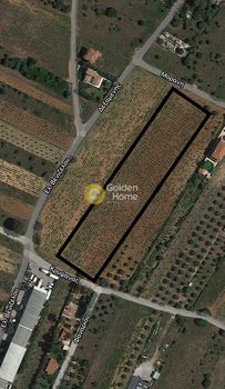 Αγροτεμάχια 3.500τ.μ. για ενοικίαση-Πικέρμι » Κέντρο