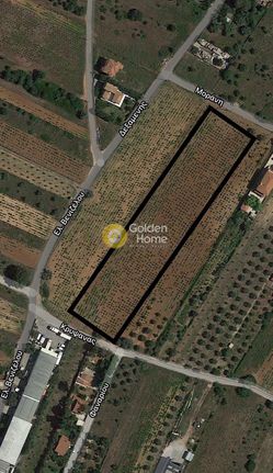 Parcel 3.500 sqm for rent, Rest Of Attica, Pikermi