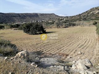 Αγροτεμάχια 4.300 τ.μ. για πώληση