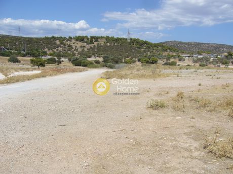 Αγροτεμάχια 10.304 τ.μ. για πώληση
