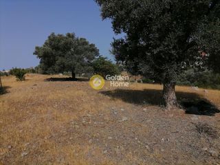 Αγροτεμάχια 3.000 τ.μ. για πώληση