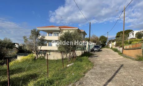 Μονοκατοικία 355τ.μ. για πώληση-Μαρκόπουλο » Πόρτο ράφτη