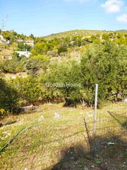 Αγροτεμάχια 2.428 τ.μ. προς πώληση