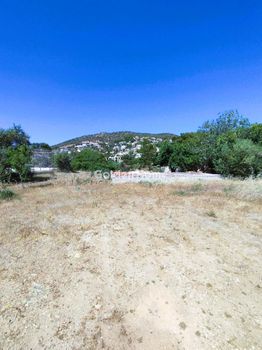 Οικόπεδο 843τ.μ. για πώληση-Ανάβυσσος » Ανάβυσσος κέντρο
