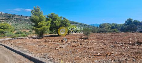 Οικόπεδο 1.107τ.μ. για πώληση-Μαλεσίνα » Θεολόγος