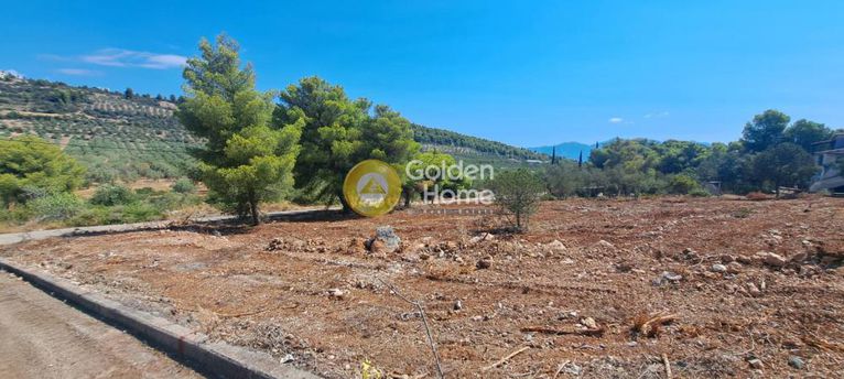 Οικόπεδο 1.107 τ.μ. για πώληση, Φθιώτιδας, Μαλεσίνα