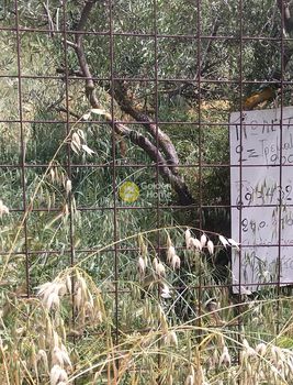 Αγροτεμάχια 2.008τ.μ. για πώληση-Χαλάνδρι » Άνω πάτημα