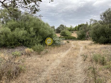 Αγροτεμάχια 41.000τ.μ. για πώληση-Σπάτα » Κέντρο