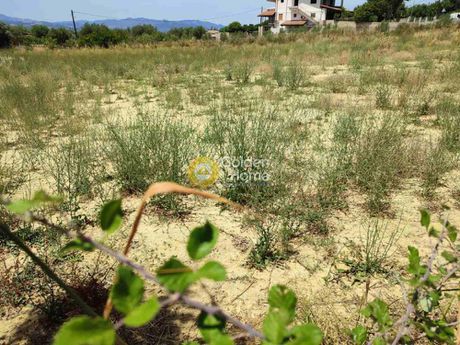 Οικόπεδο 2.300τ.μ. για πώληση-Φαρές » Κυδωνιές