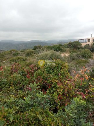 Land plot 4.000 sqm for sale, Lasithi Prefecture, Vrachasi