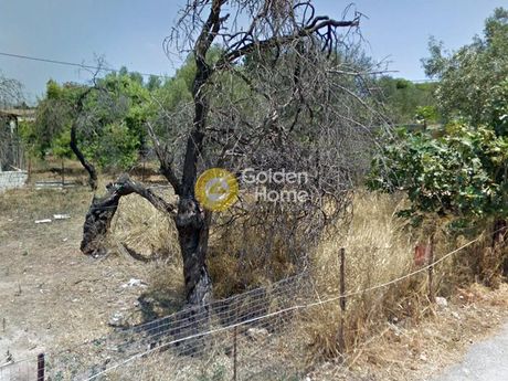 Οικόπεδο 1.066 τ.μ. για πώληση