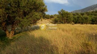 Οικόπεδο 695 τ.μ. για πώληση
