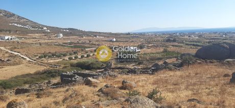 Οικόπεδο 10.000 τ.μ. προς πώληση