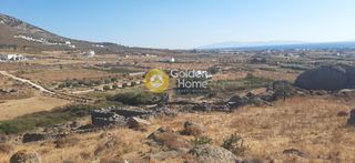 Οικόπεδο 10.000 τ.μ. για πώληση