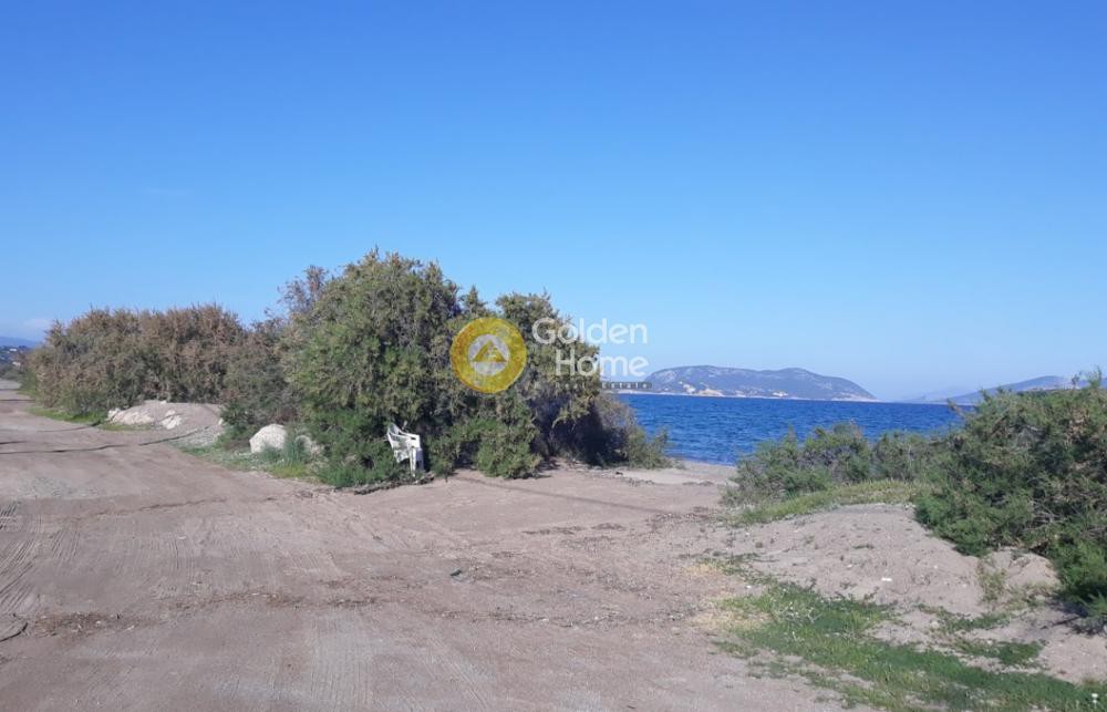 Αγροτεμάχια 2.000 τ.μ. για πώληση, Αργολίδα, Κρανίδι