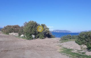 Αγροτεμάχια 2.000 τ.μ. για πώληση