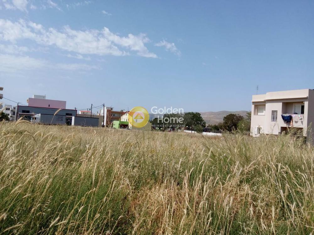 Οικόπεδο 548 τ.μ. προς πώληση, Πηγαδάκια Καρύστου