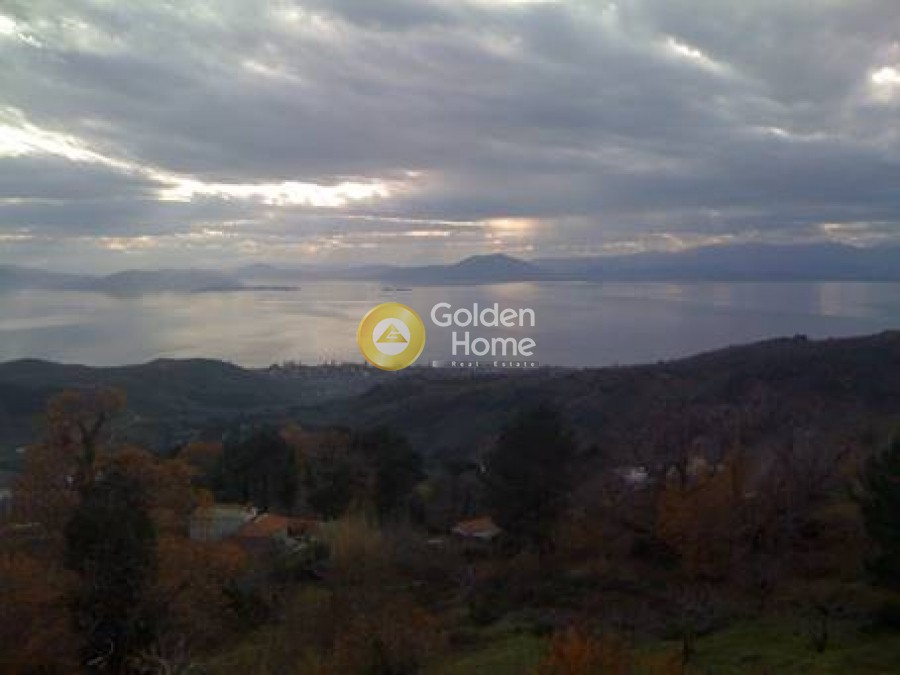 Επιχειρηματικό κτίριο 270 τ.μ. πρός πώληση, Μαγνησία, Μηλιές