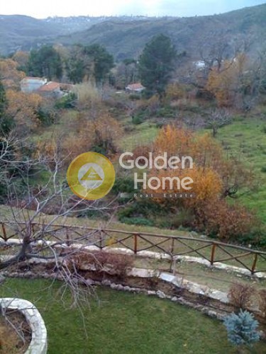 Επιχειρηματικό κτίριο 270 τ.μ. πρός πώληση, Μαγνησία, Μηλιές