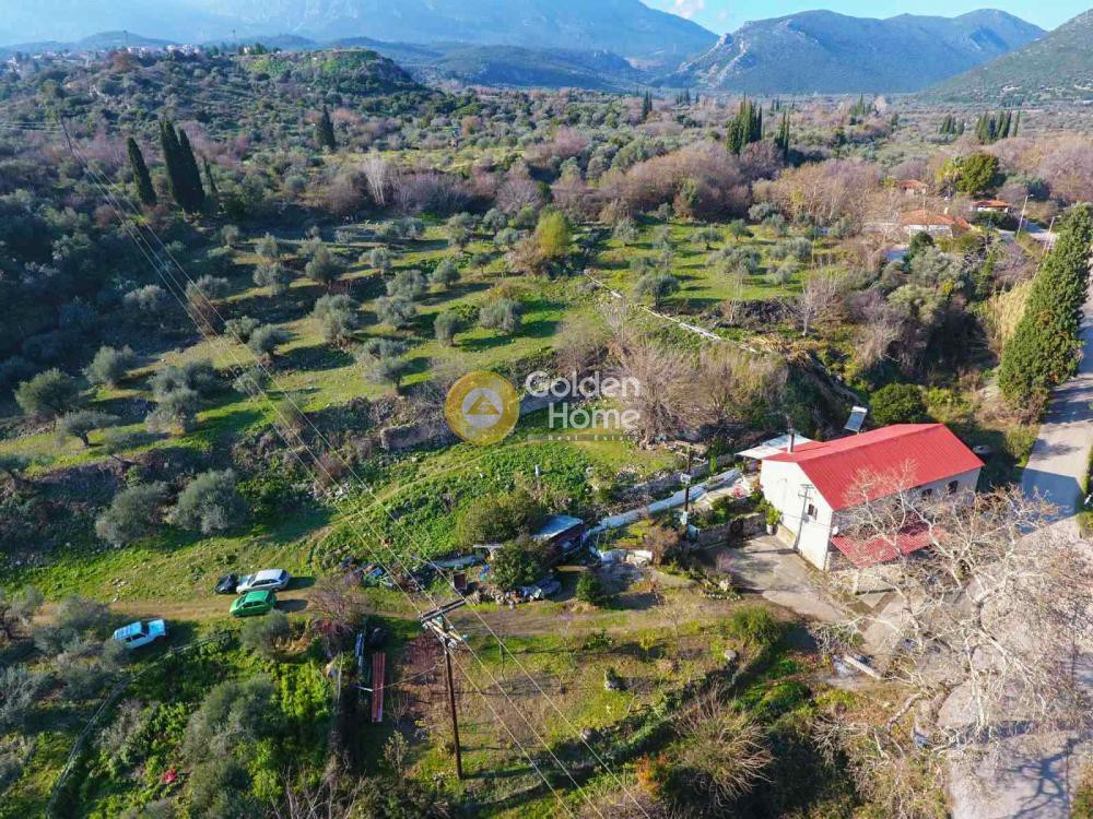 Μονοκατοικία 333 τ.μ. προς πώληση, Κέντρο Δαύλειας