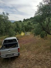 Αγροτεμάχια 8.166 τ.μ. για πώληση