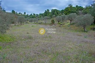 Αγροτεμάχια 13.544 τ.μ. για πώληση, Αργολίδα, Κρανίδι-thumb-2