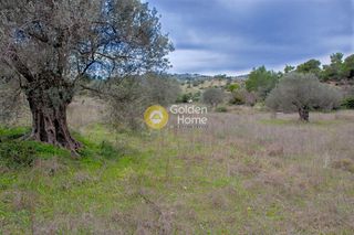 Αγροτεμάχια 13.544 τ.μ. για πώληση, Αργολίδα, Κρανίδι-thumb-1