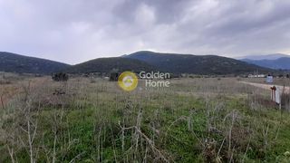 Οικόπεδο 5.446 τ.μ. για πώληση
