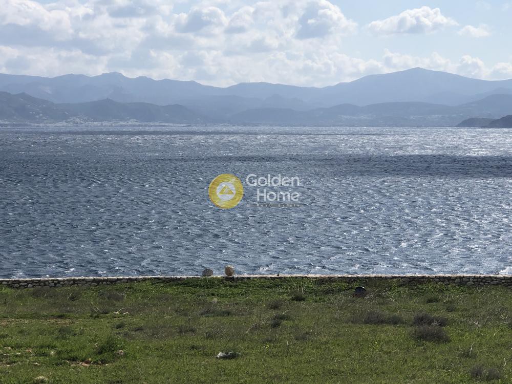 Αγροτεμάχια 10.000 τ.μ. προς πώληση, Λάγκερη