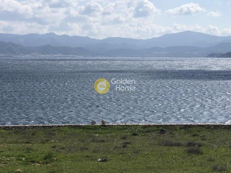 Αγροτεμάχια 10.000 τ.μ. προς πώληση