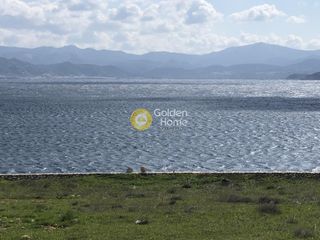 Αγροτεμάχια 10.000 τ.μ. για πώληση