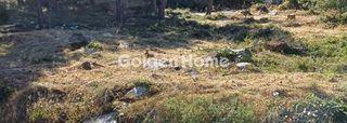 Οικόπεδο 807 τ.μ. προς πώληση