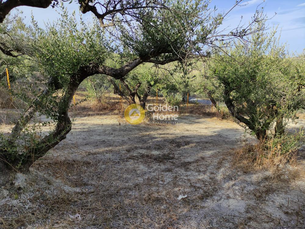 Οικόπεδο 457 τ.μ. προς πώληση, Σίλαμος