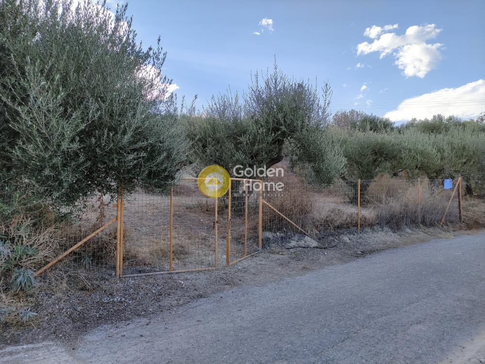 Οικόπεδο 457 τ.μ. προς πώληση, Σίλαμος